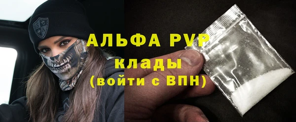 хмурый Алзамай