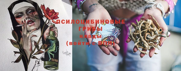 спиды Алексеевка