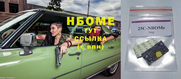 хмурый Алзамай