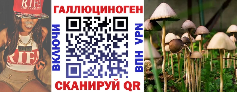 даркнет какой сайт  Новочеркасск  Псилоцибиновые грибы Psilocybine cubensis  мега ссылки 